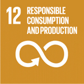 Responsible consumption and production (Sustainable Development Goals)