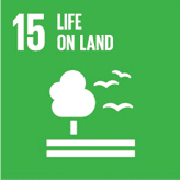 Life on land (Sustainable Development Goals)